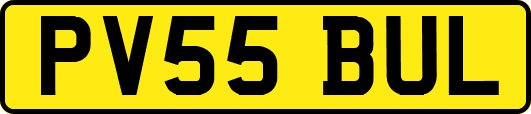 PV55BUL