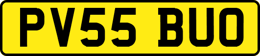 PV55BUO