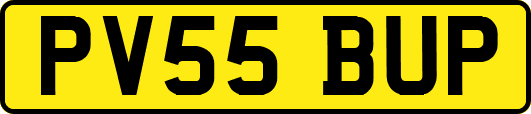 PV55BUP