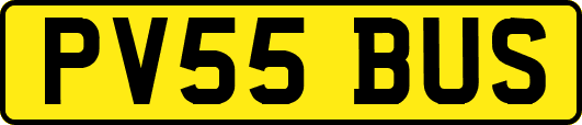 PV55BUS