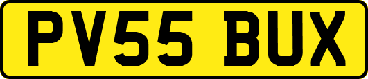 PV55BUX