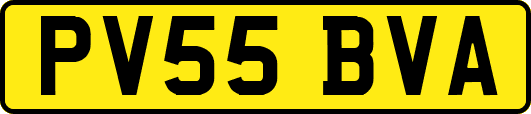 PV55BVA