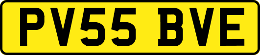 PV55BVE