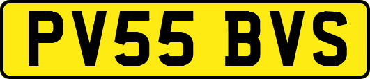 PV55BVS