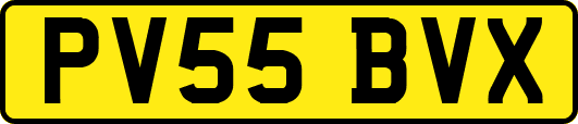 PV55BVX