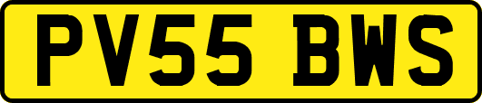 PV55BWS