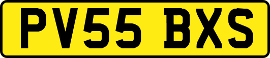 PV55BXS