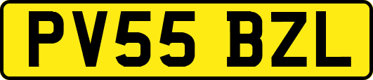 PV55BZL