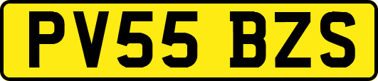 PV55BZS