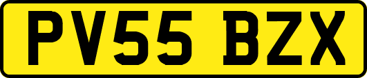 PV55BZX