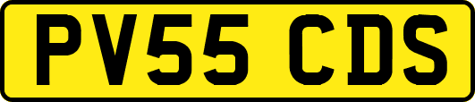 PV55CDS