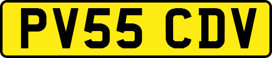 PV55CDV