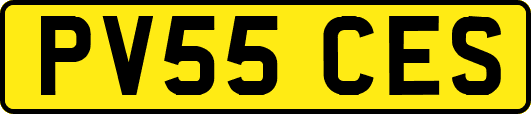 PV55CES