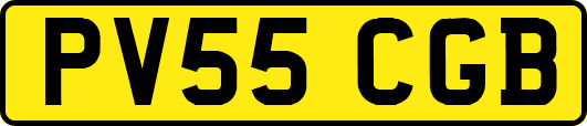 PV55CGB