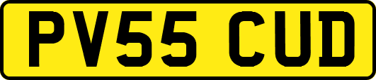PV55CUD