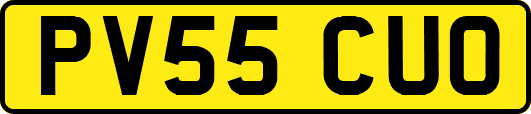 PV55CUO