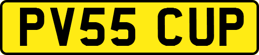 PV55CUP