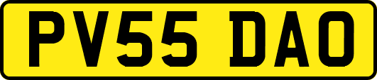 PV55DAO