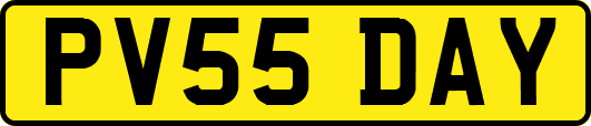 PV55DAY