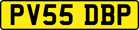 PV55DBP