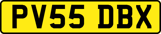PV55DBX