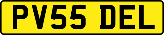PV55DEL