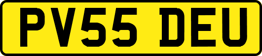 PV55DEU
