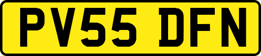 PV55DFN
