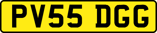PV55DGG
