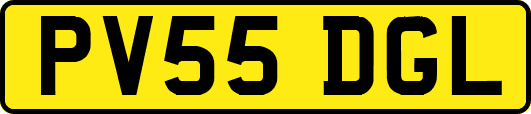 PV55DGL