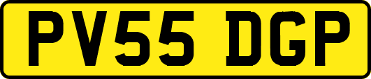 PV55DGP
