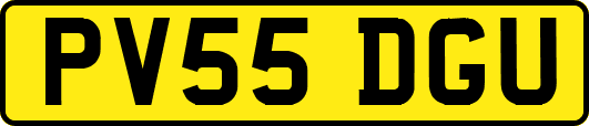 PV55DGU