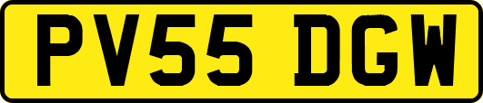 PV55DGW