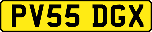 PV55DGX