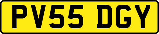 PV55DGY