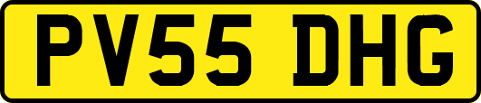 PV55DHG