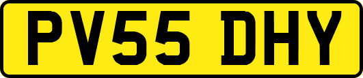 PV55DHY
