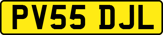 PV55DJL