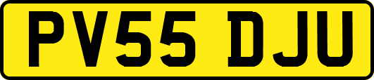 PV55DJU