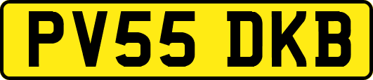 PV55DKB