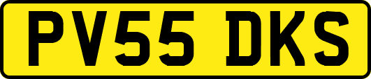 PV55DKS
