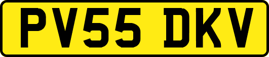 PV55DKV