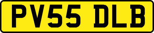 PV55DLB