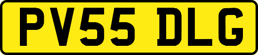 PV55DLG
