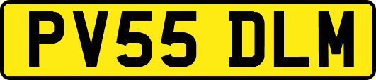 PV55DLM