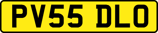PV55DLO