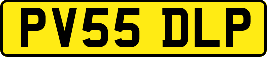 PV55DLP