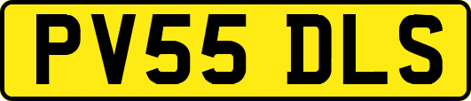 PV55DLS