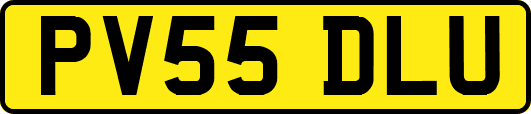 PV55DLU