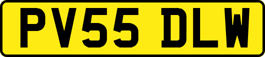 PV55DLW